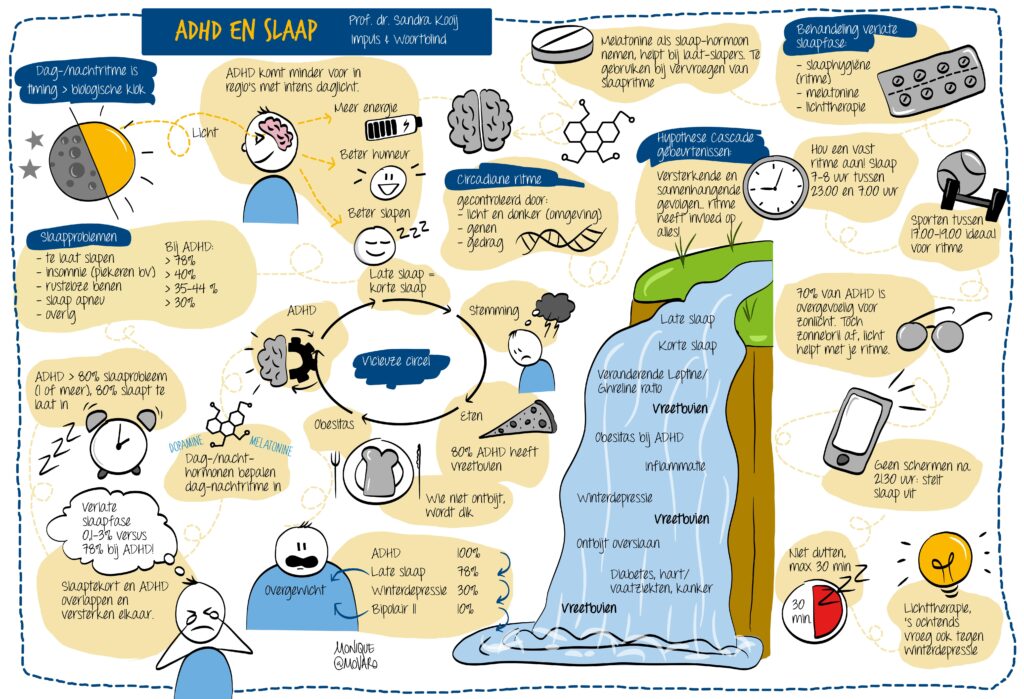 Infographic Slaap en ADHD door Monique van Rooyen
